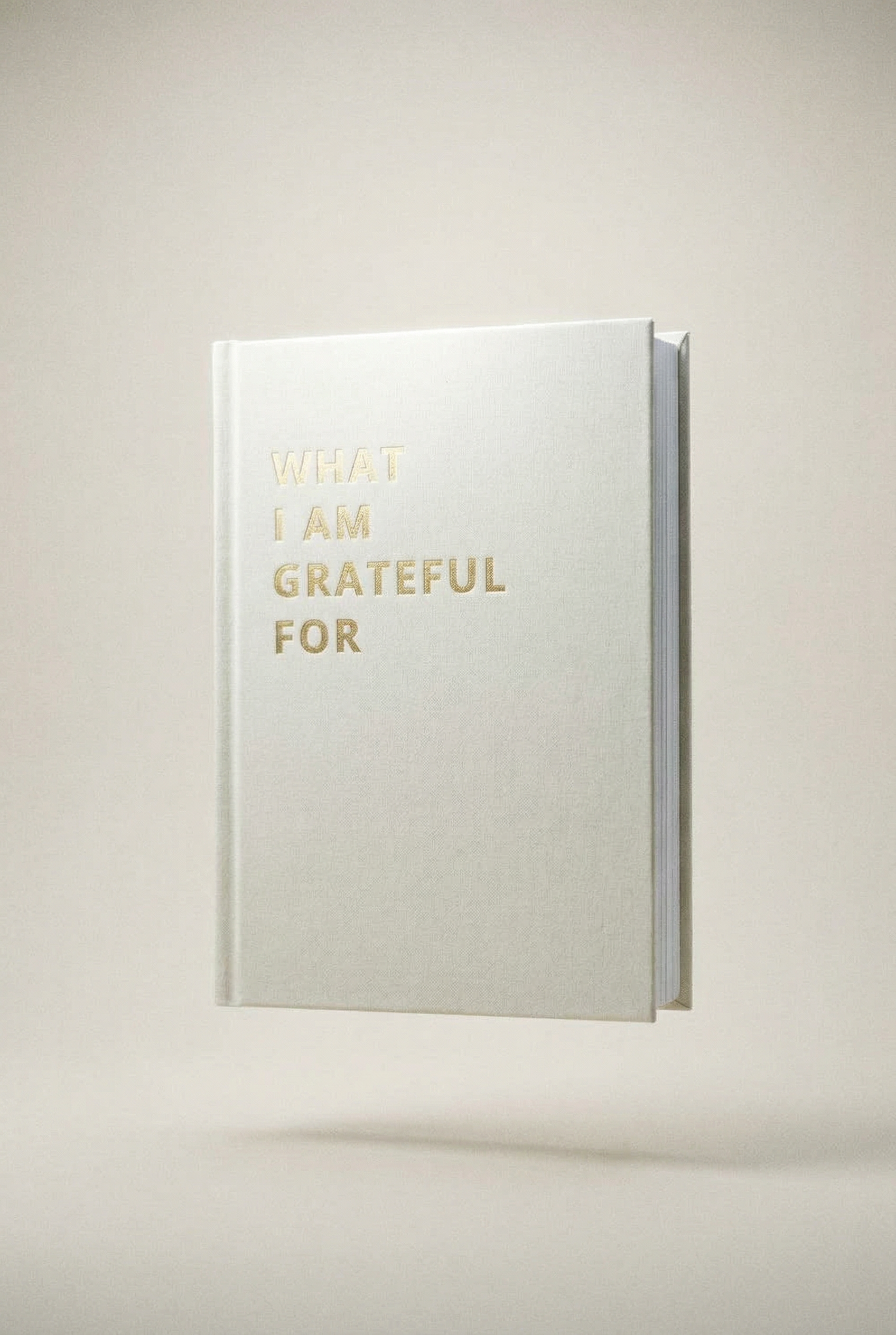 Takknemlighetsjournal | The Life Barn